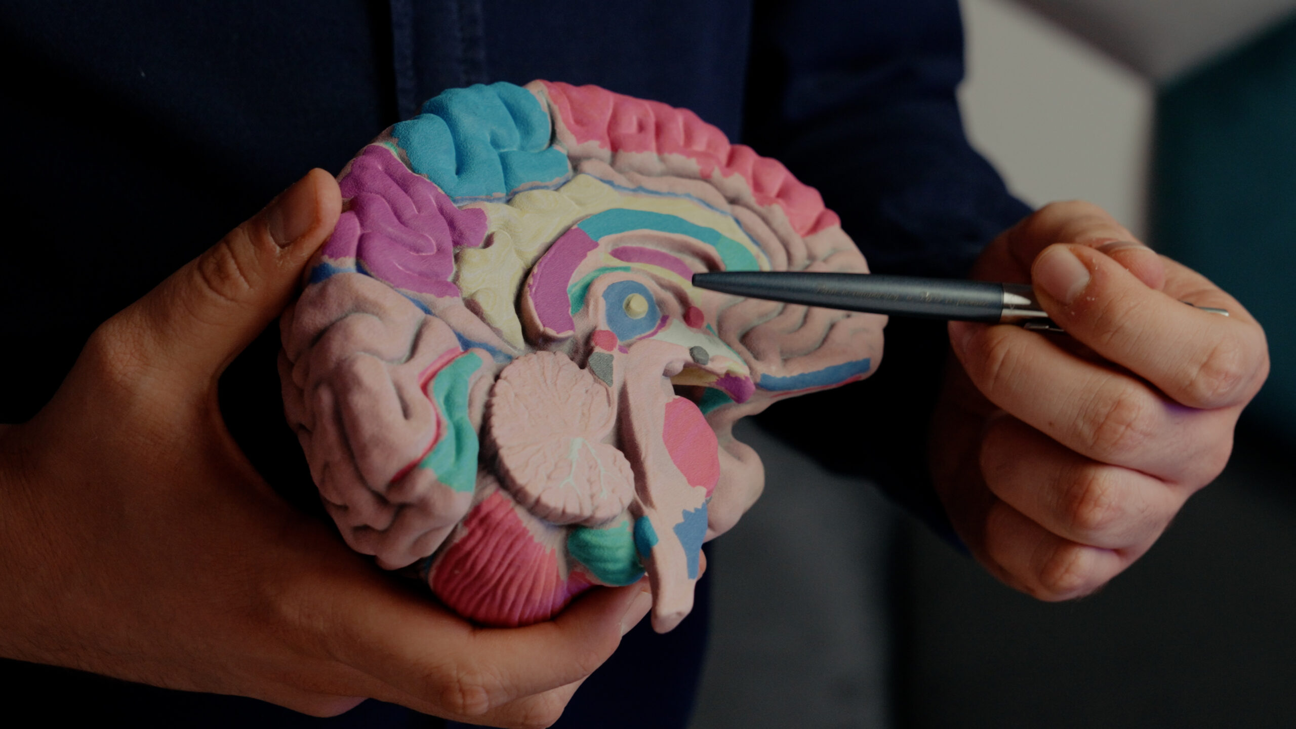 Sequence 02.00_00_00_11.Still003