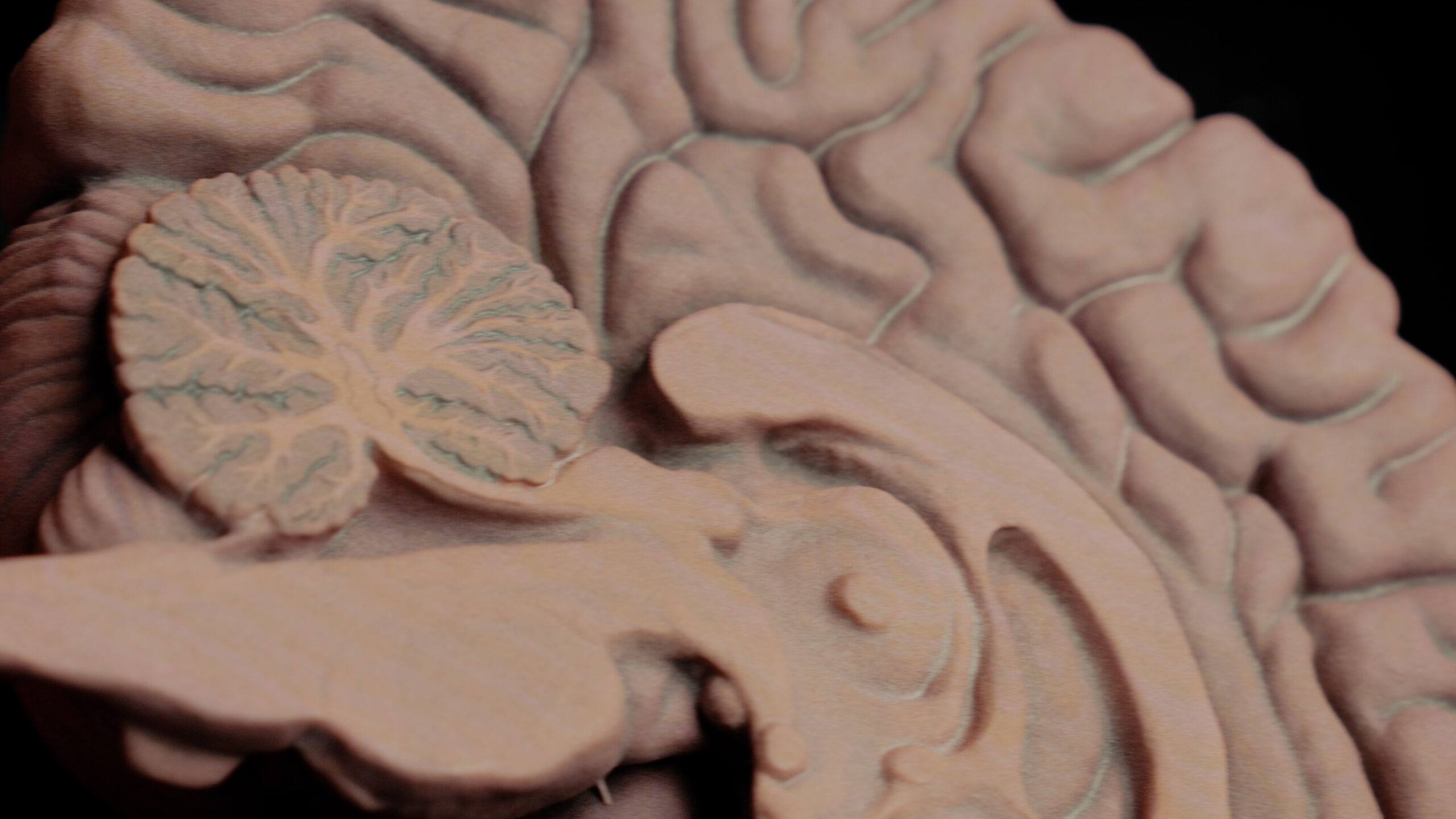 Sequence 02.00_01_32_16.Still004